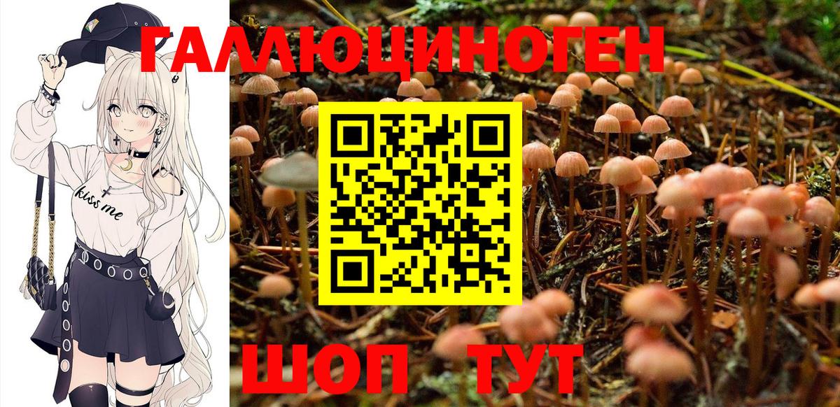 Галлюциногенные грибы MAGIC MUSHROOMS  Галлюциногенные грибы Psilocybine cubensis  Люберцы  Вход с VPN 